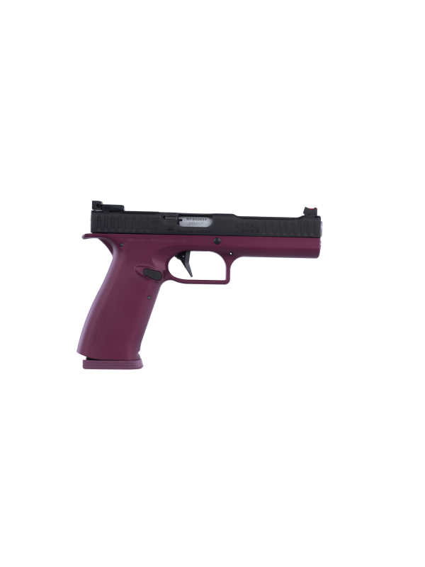 PISTOLA ERGAL PRO S .380