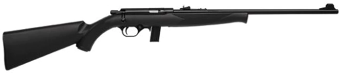 RIFLE CBC 8022 .22