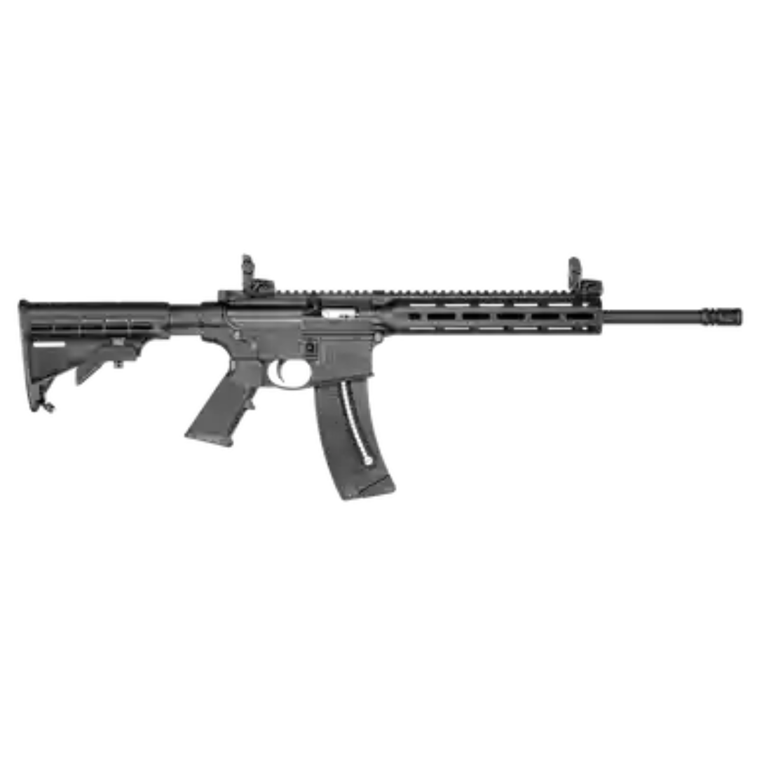 FUZIL SMITH & WESSON M&P15-22 .22